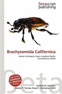 Brachysomida Californica