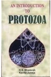 An Introduction to Protozoa