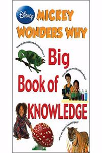Mickey Wonders Why Big Book Of Knowledge