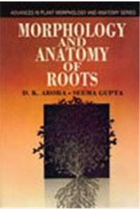 Morphology and Anatomy of Roots