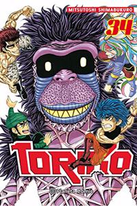 Toriko no 34/43