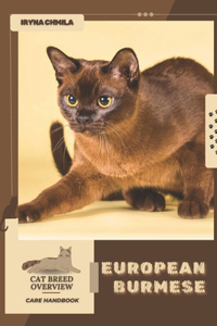 European Burmese