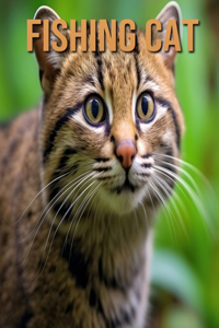 Fishing Cat