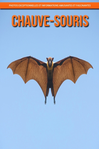 Chauve-Souris