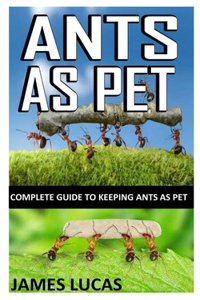 Ants as Pet