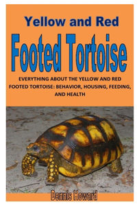 Yellow and Red Footed Tortoise