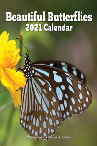 Beautiful Butterflies 2021 Wall Calendar