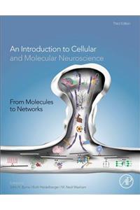 From Molecules to Networks