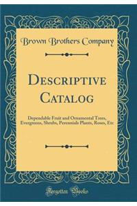 Descriptive Catalog: Dependable Fruit and Ornamental Trees, Evergreens, Shrubs, Perennials Plants, Roses, Etc (Classic Reprint)