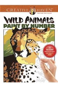 Creative Haven Wild Animals Paint by Number