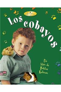 Los Cobayos (Guinea Pigs)