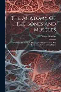 Anatomy Of The Bones And Muscles