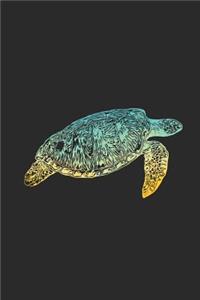 Turtle Colors
