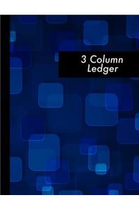 3 Column Ledger