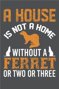 A House Is Not A Home Without A Ferret Or Two Or Three