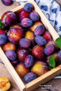 Plum Box Fruit Notebook