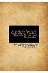 Vergleichende Grammatik Der Semitischen Sprachen, Elemente Der Lau- Und Formenlehre