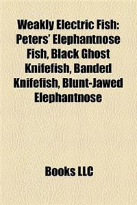 Weakly Electric Fish