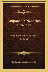 Amparo En Negocios Judiciales