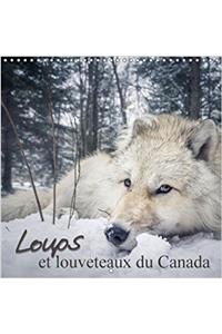 Loups Et Louveteaux Du Canada 2018
