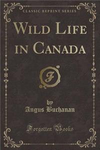 Wild Life in Canada (Classic Reprint)