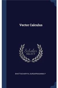 Vector Calculus