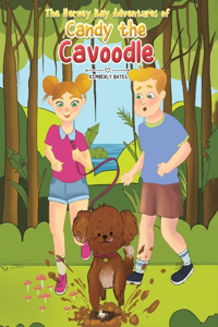 Hervey Bay Adventures of Candy the Cavoodle