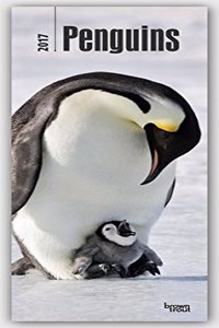 Penguins 2017 Slim