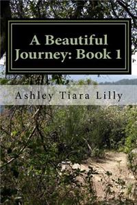 A Beautiful Journey
