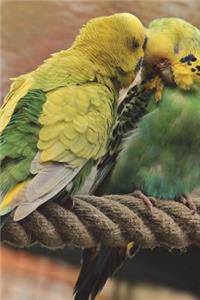 Lovely Birds Journal