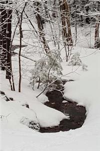 Journal Winter Morning