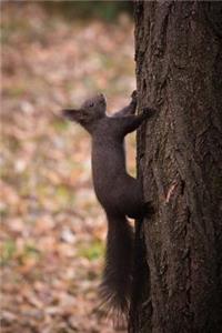 Squirrel on a Tree Journal