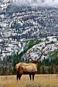 An Elk Enjoying a Mountain View Nature Journal