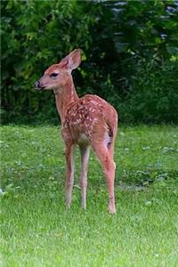 Twin Fawns in the Forest Notebook