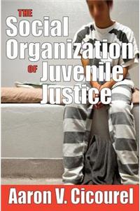 The Social Organization of Juvenile Justice