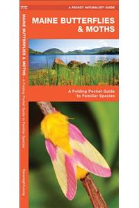 Maine Butterflies & Moths: An Introduction to Familiar Species