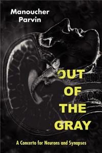 Out of the Gray: A Concerto for Neurons and Synapses