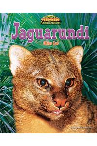 Jaguarundi