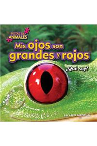MIS Ojos Son Grandes Y Rojos (My Eyes Are Big and Red)