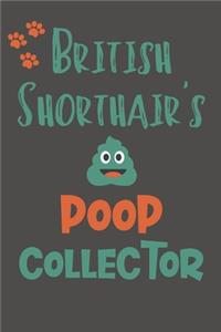 British Shorthair's Poop Collector