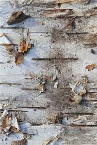 2020 Daily Planner Dry Birch Bark Photo 388 Pages