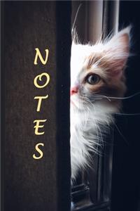Notes