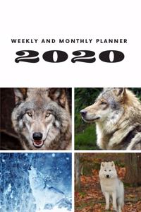 Weekly and Monthly Planner 2020