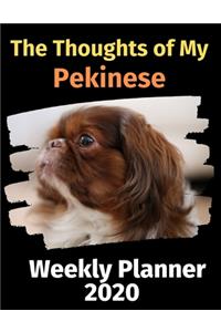 The Thoughts of My Pekinese