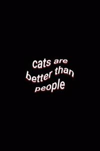 cats are better than people