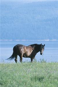 2020 Weekly Planner Horse Photo Equine Horse Lake Mountain Scene 134 Pages