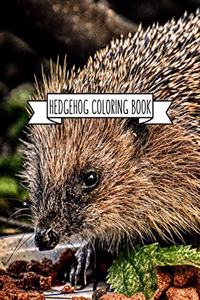 Hedgehog Coloring Book