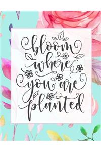 Bloom Where You Are Planted