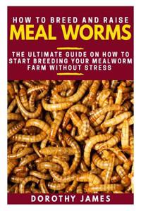 How to Breed and Raise Mealworms