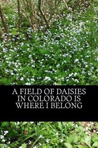 A Field of Daisies in Colorado Is Where I Belong